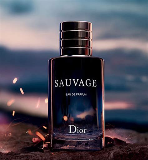 dior sauvage 100 ml giftset edp|Dior Sauvage cheapest.